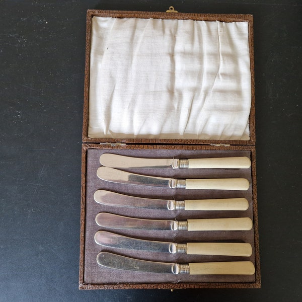 Vintage Boxed set of Faux Bone Handled EPNS Tea/ Butter Knives x 6