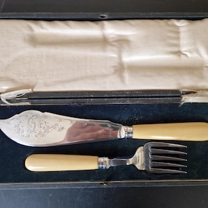 May include: A silver-plated fish knife and fork set with smooth, cream-colored handles, presented in a dark rectangular case with a cream-colored satin lining. The knife blade features an intricate, engraved floral scrollwork pattern.
