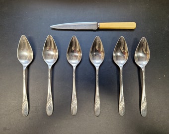 Vintage set of Grapefruit Spoons x 6 & Faux Bone Handled Grapefruit Knife