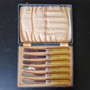 Vintage Boxed set of EPNS Amber Coloured Handle Butter Tea Knives x 6