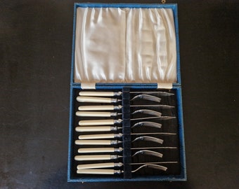 Vintage Boxed set of EPNS Faux Bone Handled Fish Cutlery