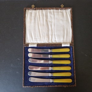 Vintage Boxed set of EPNS Yellow Handled Butter/ Tea Knives x 6