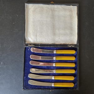 Vintage Boxed set of EPNS Amber Handled Butter/ Tea Knives x 6