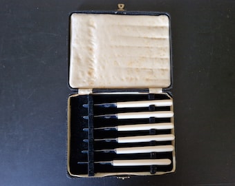 Unusual Vintage Boxed set of Faux Bone Handled Butter/ Tea Knives x 6