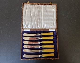 Vintage Boxed set of Amber Handled EPNS Tea/ Butter Knives x 6