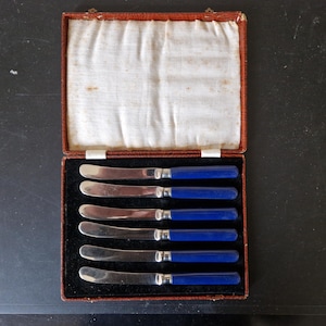 Puede incluir: Un juego de seis cuchillos de mantequilla con mangos azules en una caja de cuero marrón.