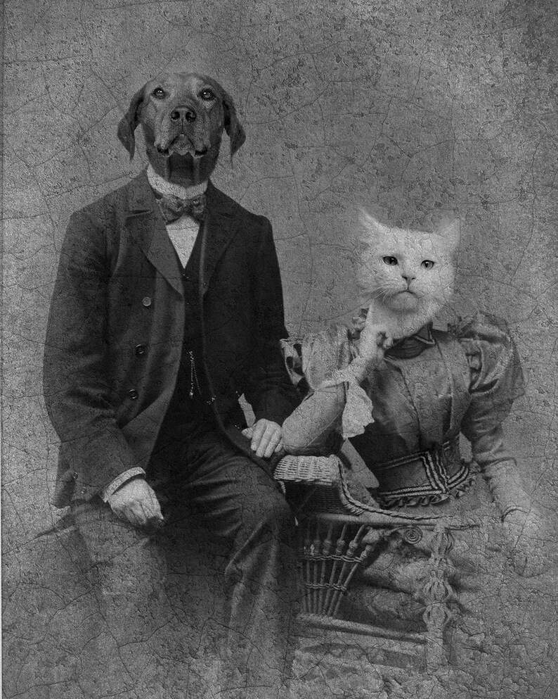 Dog and Cat Couple Animal Head Old Photo Portrait Etsy