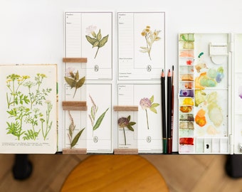 20 Botanische specimenkaarten Schetsblok, kaarten voor het observeren en identificeren van bloemen en planten. notebook onderzoekskaart natuur illustratie