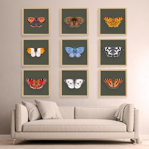 Vintage Butterfly Print, Gallery Wall Set of 9 Dark Moody Insect Printable Wall Art, Cottagecore Saige Green Decor Digital Antique Painting