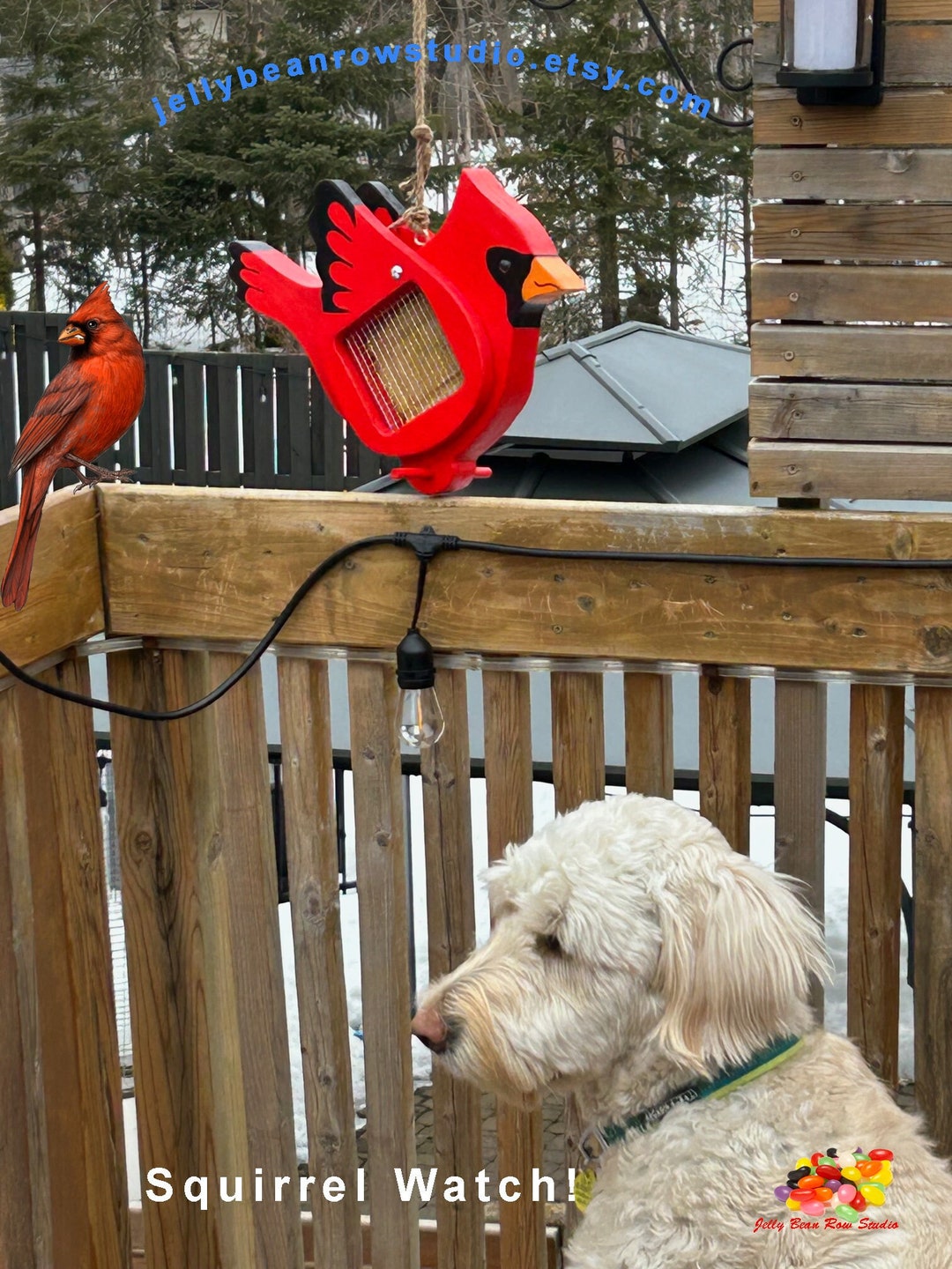 Cardinal Suet Feeder Out of Stock. Custom Orders in 5 Days Etsy