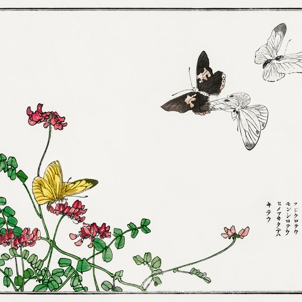 Morimoto Toko Butterflies and Flowers