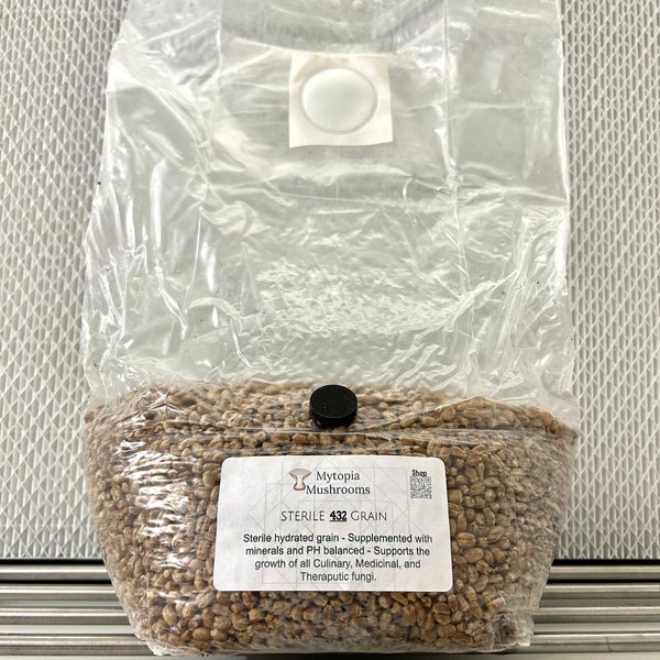 Sterile 432 Grain Bag - Micropose Injection Port - 1.5kg Organic Wheat