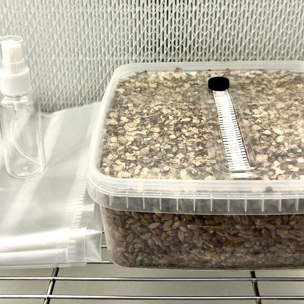 Large Mytopia Mushrooms Grow Kit – Simply Inoculate and Grow! - 1.5KG