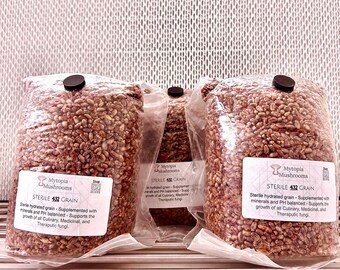 3x Sacs à grains 432 stériles - Avec port d'injection - 1KG/unité