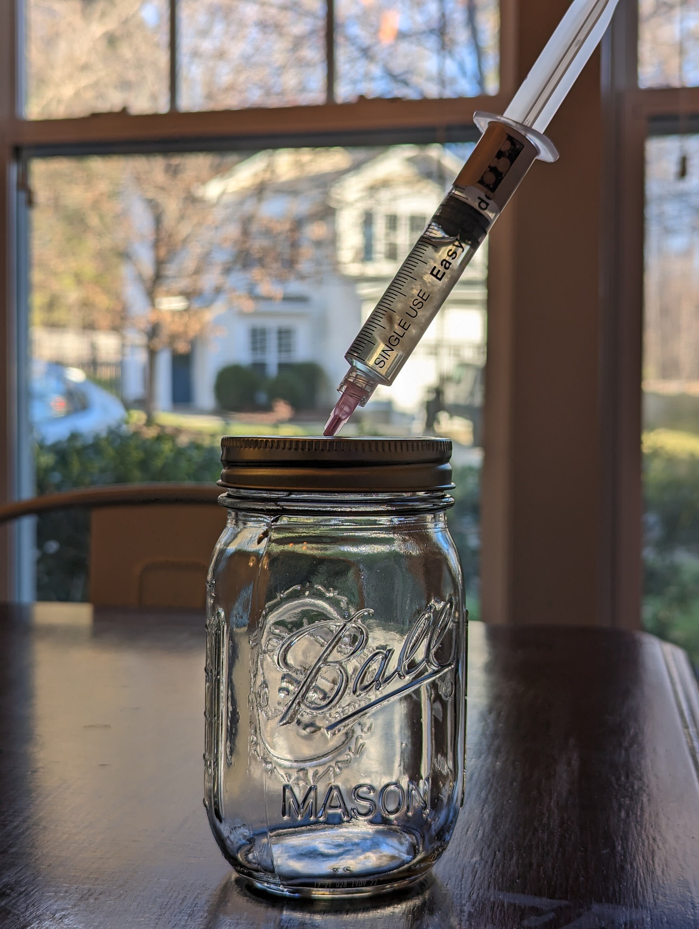 12 Pack Mason Jar Injection Port Lid for Mycology Mushroom Growth grain ...