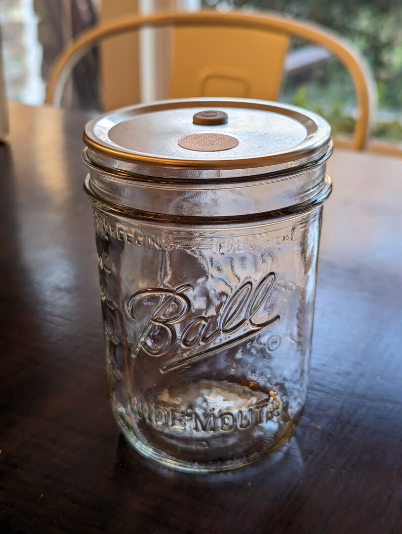 12pack Mushroom Cultivation Lid Mycology Mason Jar Wide Mouth W