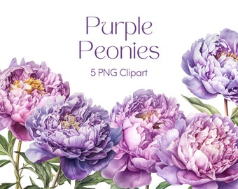 Purple Floral Clipart Peony PNG - 5 PNG Clipart Digital Download for Commercial Use Clipart, Graphics for Junk Journal, Scrapbook Pages, POD