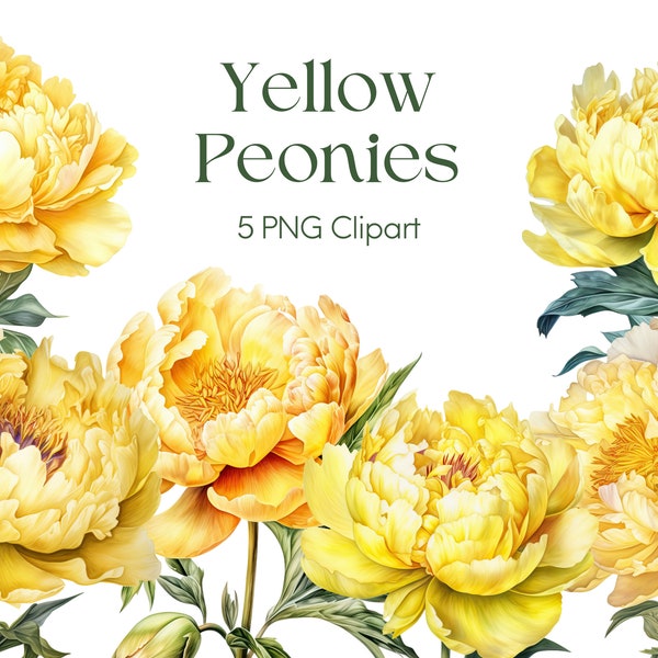 Yellow Floral Clipart Peony PNG - 6 PNG Clipart Digital Download for Commercial Use Clipart, Graphics for Junk Journal, Scrapbook Pages, POD