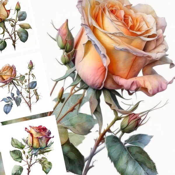 Botanical Roses Digital Illustration Bundle, Rose Digital Paper, Background, Victorian Roses Clip Art, Rose Printable Wall Art, Clipart