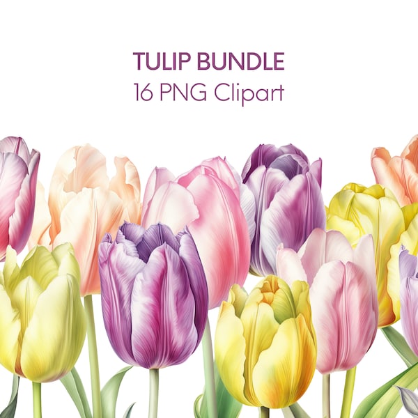 Watercolor Tulip Clipart Bundle PNG - Commercial Use Clipart, Digital Download, Pink Tulip Clipart Purple Clipart Yellow Tulips Peach Tulip