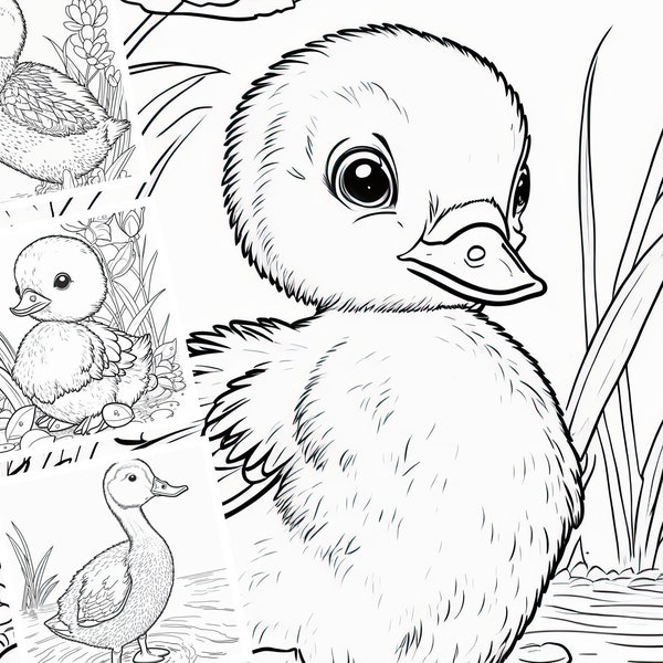 Spring Duckling Coloring Pages for Kids, Montessori Coloring, Homeschool Resource, Daycare Resource, Sunday School Activity, Printable Art