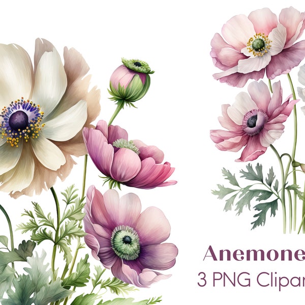 Watercolor Anemone Clipart PNG Commercial Use Clip Art Spring Floral Clipart PNG, Digital Art Clipart, POD Allowed, Junk Journal Card Making