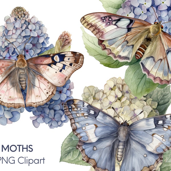 Watercolor Moth Clipart - 3 PNG Clipart Bundle, Moths on Hydrangea Flowers, Digital Download, Commercial Use, Boho Floral Nature Clipart