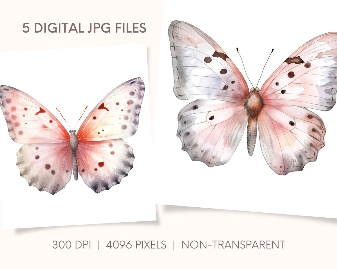 Pastel Pink Butterflies Digital JPG Art Print Bundle for Etsy