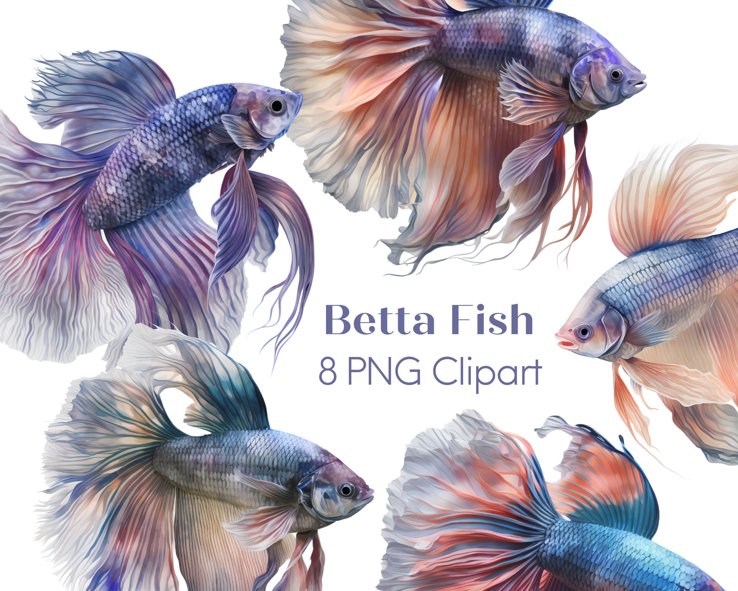 Betta Fish Clipart PNG Digital Download Commercial Use - Etsy UK