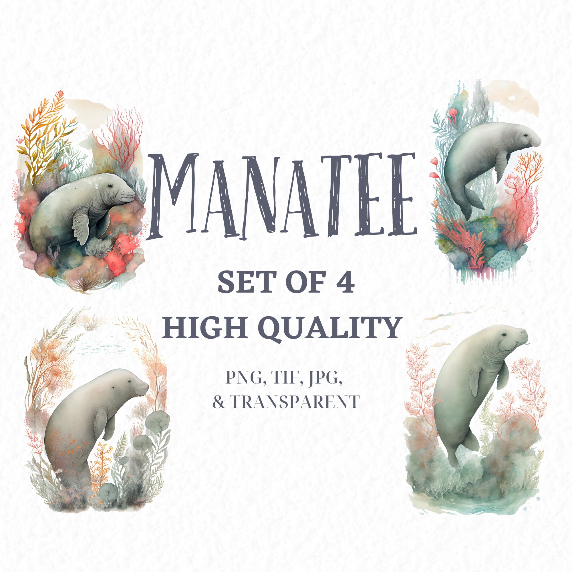 Watercolor Manatee Clipart Set of 4 Printable Manatee Art - Etsy
