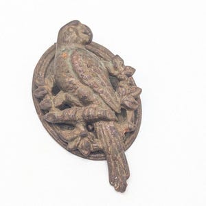 May include: A vintage, oval-shaped metal parrot wall decor. The parrot is perched on a branch with leaves, and the piece has a distressed, aged appearance. The color is a mix of brown and green.