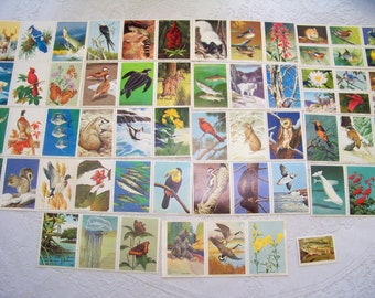 Sellos de coleccionista de la Federación Nacional de Vida Silvestre 1954 - 1967 Lote de 60 sellos Lote de sellos de animales y botánicos Colección instantánea