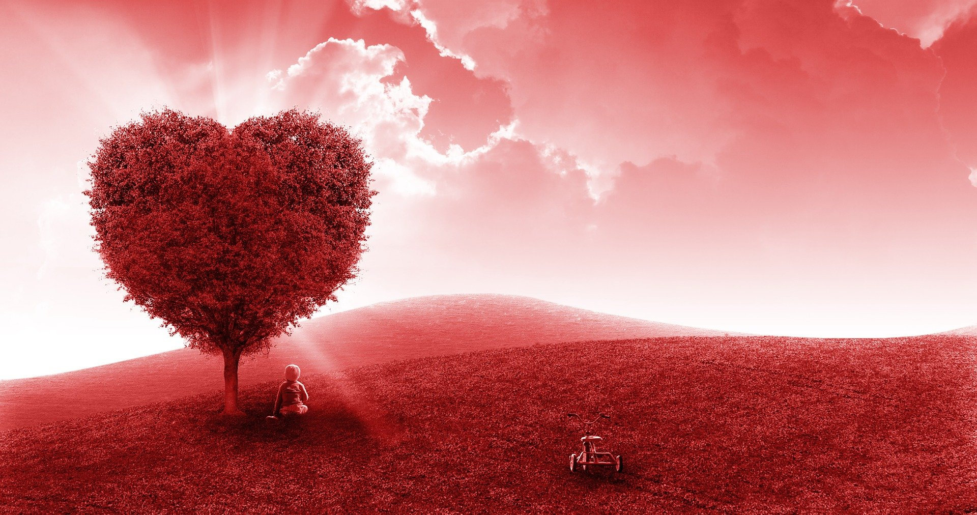 30 minute romance reading
