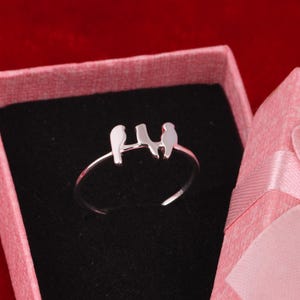Könnte beinhalten: Ein silberner Ring mit dem Design von drei Vögeln, die auf einer Linie sitzen. Der Ring wird in einer offenen, rosa Schmuckschatulle vor schwarzem Hintergrund präsentiert. Das Design des Rings ist schlicht und elegant.