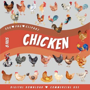 Chicken watercolor SVG PNG clipart bundle watercolor files for cricut mega pack silhouette farm animal file sublimation hen digital download