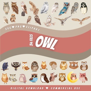 Owl watercolor SVG PNG clipart bundle for cricut mega pack silhouette night animal cut file sublimation cute illustration digital download