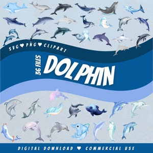 Delphin Aquarell SVG PNG Bundle Dateien für Cricut Baby Mega Pack Silhouette Ozean Design Datei Sublimation Sealife digitaler Download