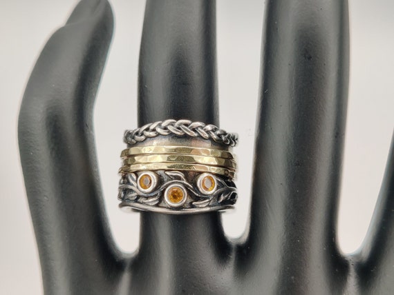 Sterling Silver and Gold  Artisan Spinner Band - image 1