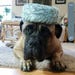 Owner of <a href='https://www.etsy.com/shop/SJPageStudio?ref=l2-about-shopname&from_page=listing' class='wt-text-link'>SJPageStudio</a>