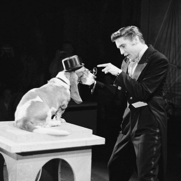 Singer & Actor Elvis Presley King of Rock and his Hound Dog Bassett Classic Retro High Quality Picture Poster Photo Print Poster