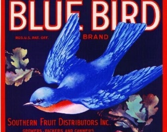 Blue Bird Brand Orange Orlando Florida Retro Citrus Fruit Crate Label Art Print