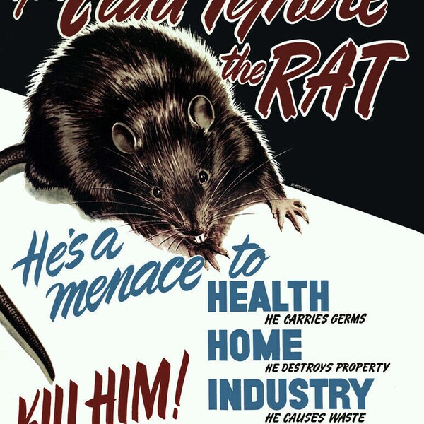 1948 Alberta Department of Public Health Rat Poster Photo Picture Art Print