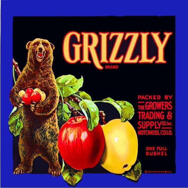 Grizzly Bear Brand Apple Hotchkiss Colorado Retro Fruit Crate Label Poster Picture Photo Art Print