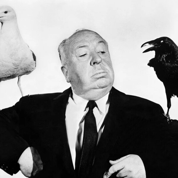 Iconic Horror Movie Director Alfred Hitchcock Classic Movie The Birds Publicity Picture Poster Photo Print