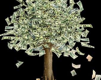 Money Tree Cash Dollars Currency Poster Picture Photo Art Print Reproduction