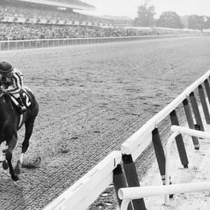 Triple Crown Winner Race Horse Secretariat Publicity Picture Poster Photo Print