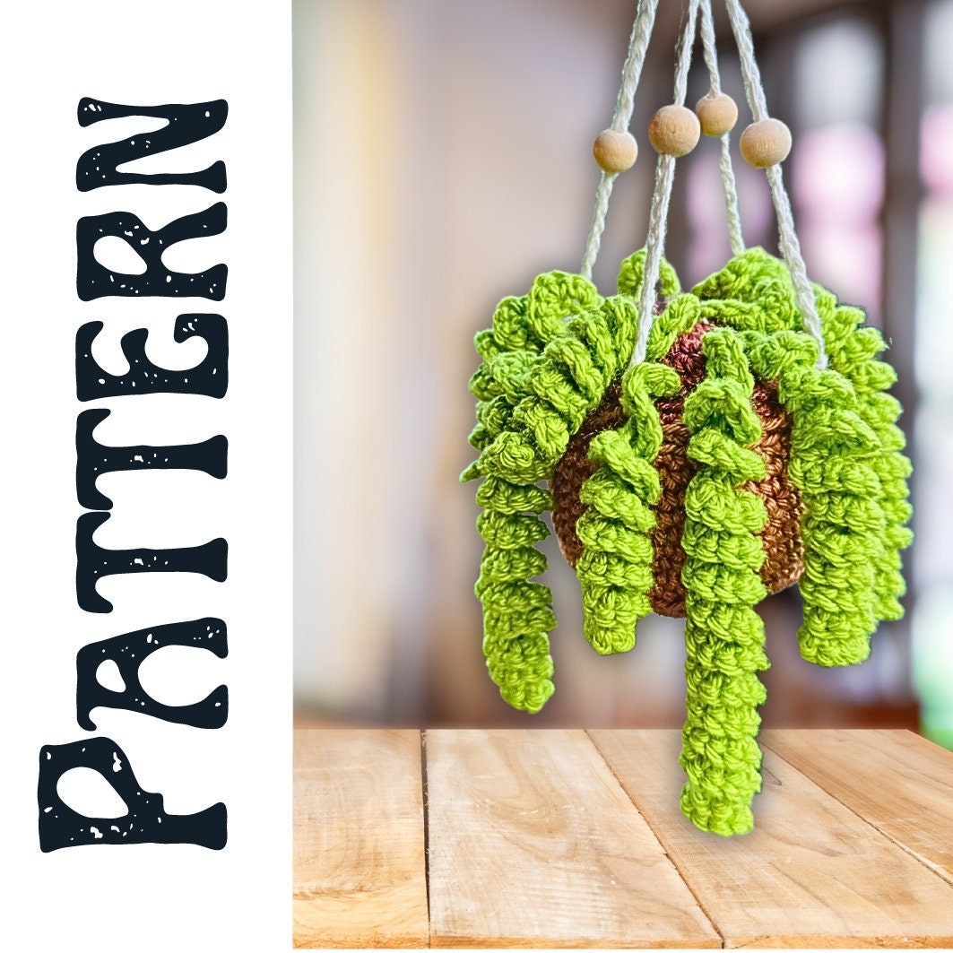 Crochet Hanging Plant Pattern Beginner Friendly Amigurumi Plant - Etsy