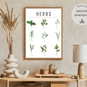 Minimalistischer Kräuterdruck, druckbare Wandkunst, Küchen Wanddekor, minimalistische Wohnkultur, digitaler Download, Digitaldruck, Gartenpflanzendrucke