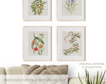 Vintage Botanical Prints, Printable Floral Art, Antique Flower Illustration, Gallery Wall Decor