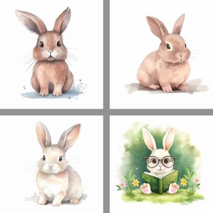 Bunny Design Bundle Rabbit Illustration Bundle Crafting - Etsy